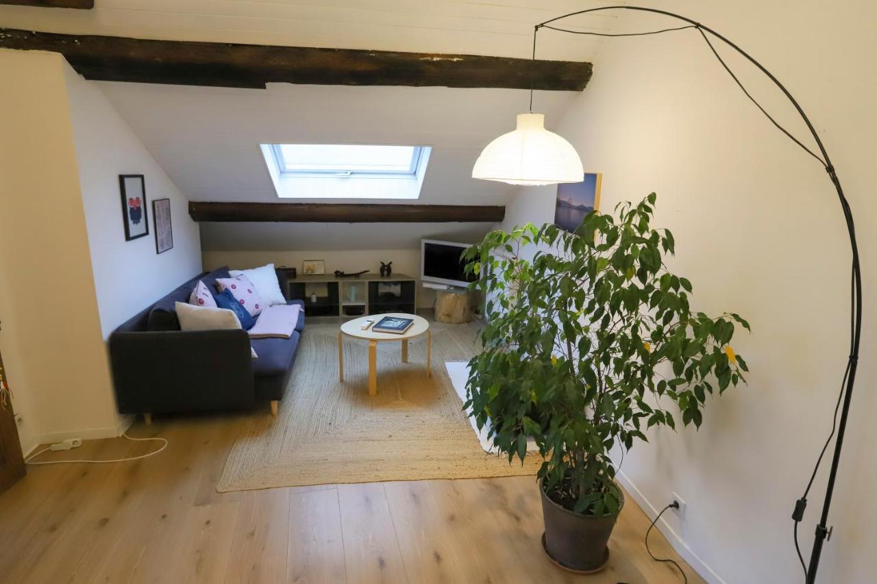 Apartmán Petit-Coeur Charmant En Centre Ville Annecy Exteriér fotografie