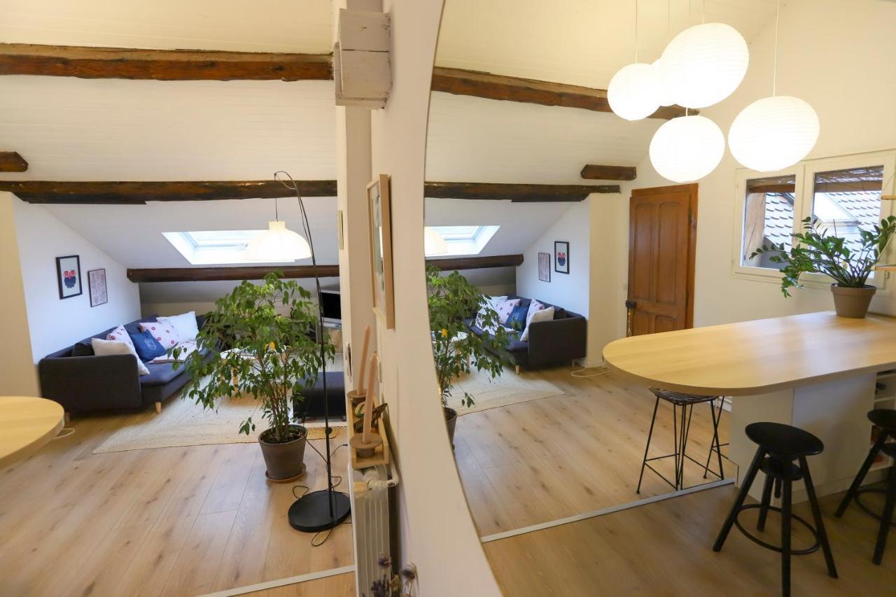Apartmán Petit-Coeur Charmant En Centre Ville Annecy Exteriér fotografie